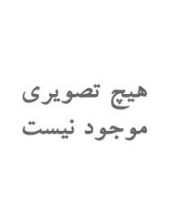 Nasty Honeydew Melon | سالت نیکوتین نستی  طعم طالبی شیرین